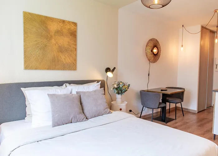 Lyon centre appartement meublé